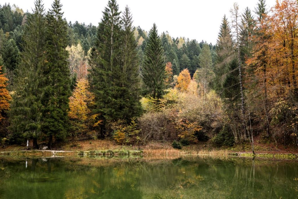 TAPPA 1 - Lago Welsperg in autunno , foto CMP