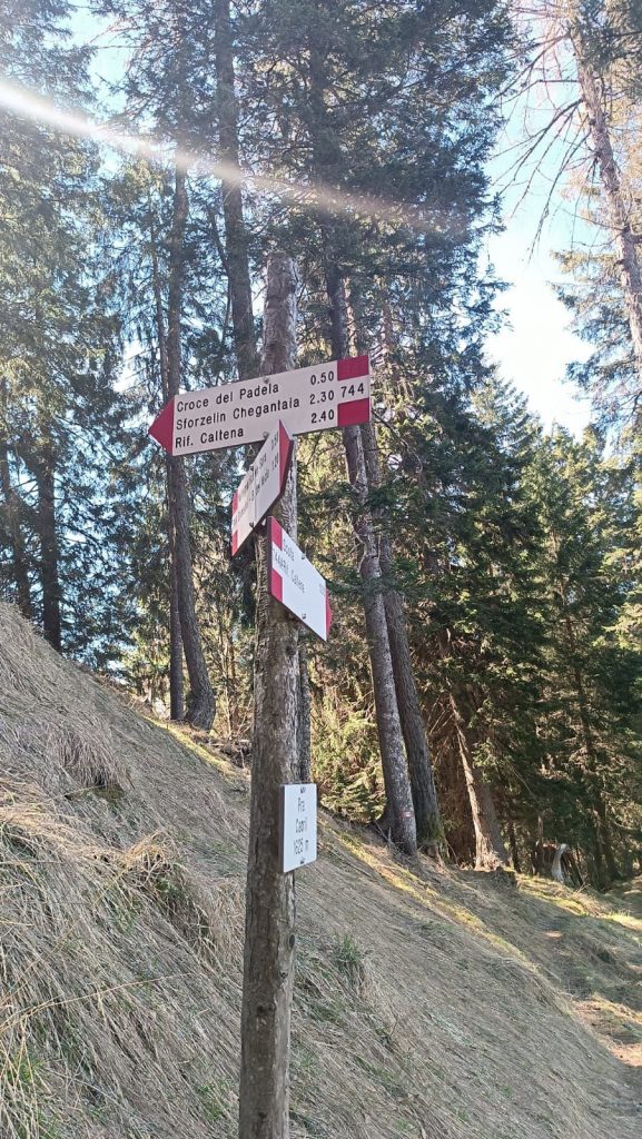 TAPPA 2 - Segnaletica Monte Padella. Foto Archivo APT