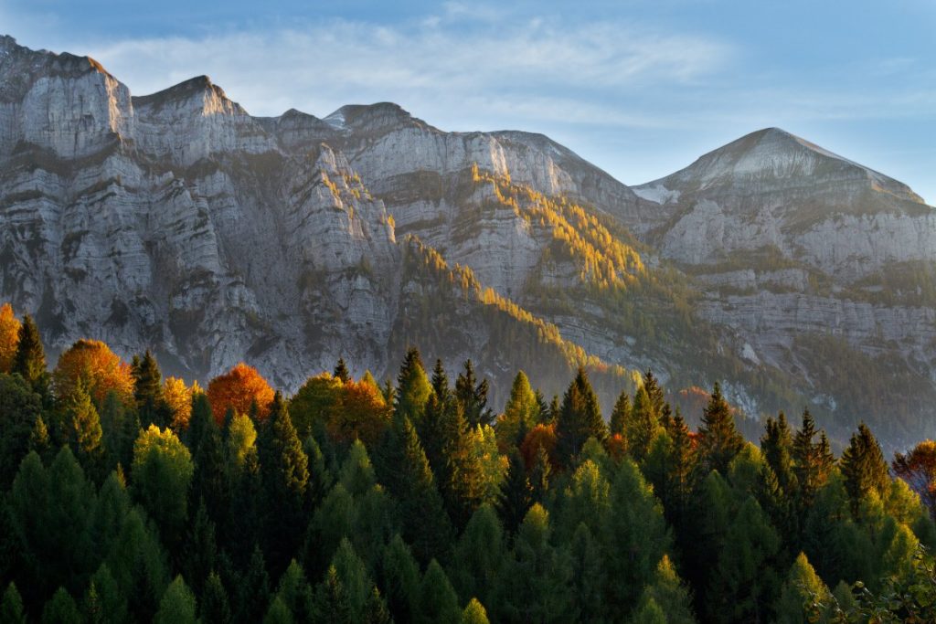 TAPPA 3 - Panorama delle Vette Feltrine. Foto T. Forin