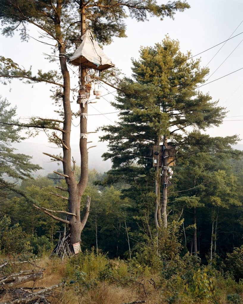 Tree-Sits, Camp White Pine, Huntingdon County, Pennsylvania 2017 @ Mitch Epstein