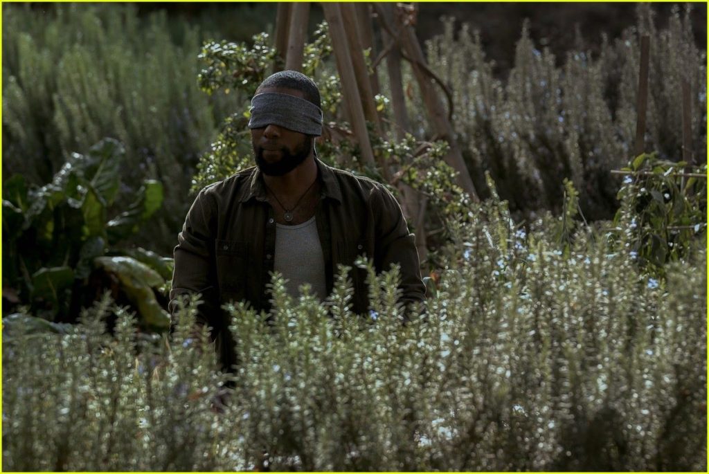 Trevante Rhodes in Bird Box