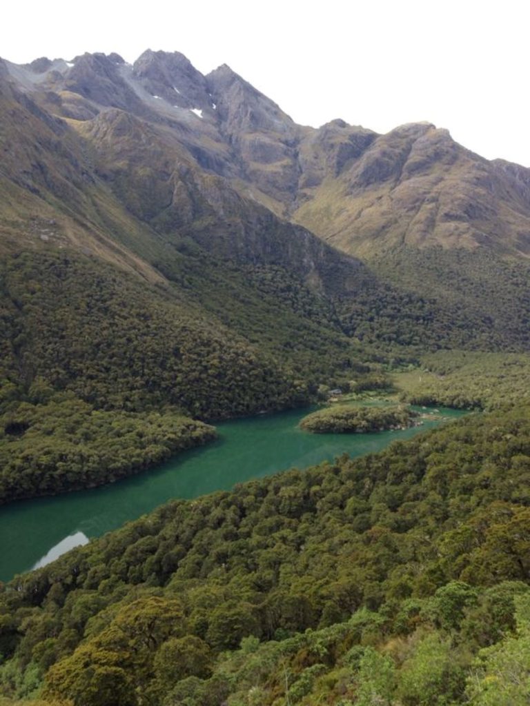 Tutto il verde del Routeborn track. Foto Matteo Colizzi