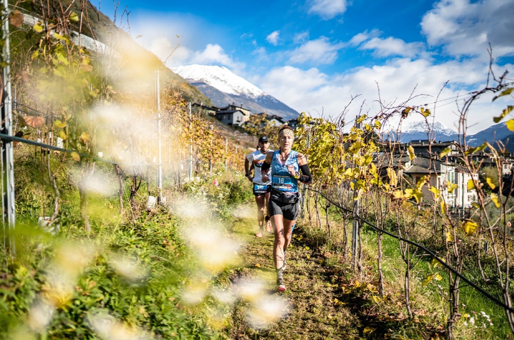 Valtellina Wine Trail