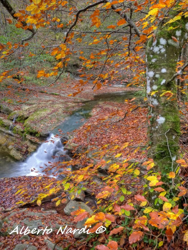 Verso la cascata dell
