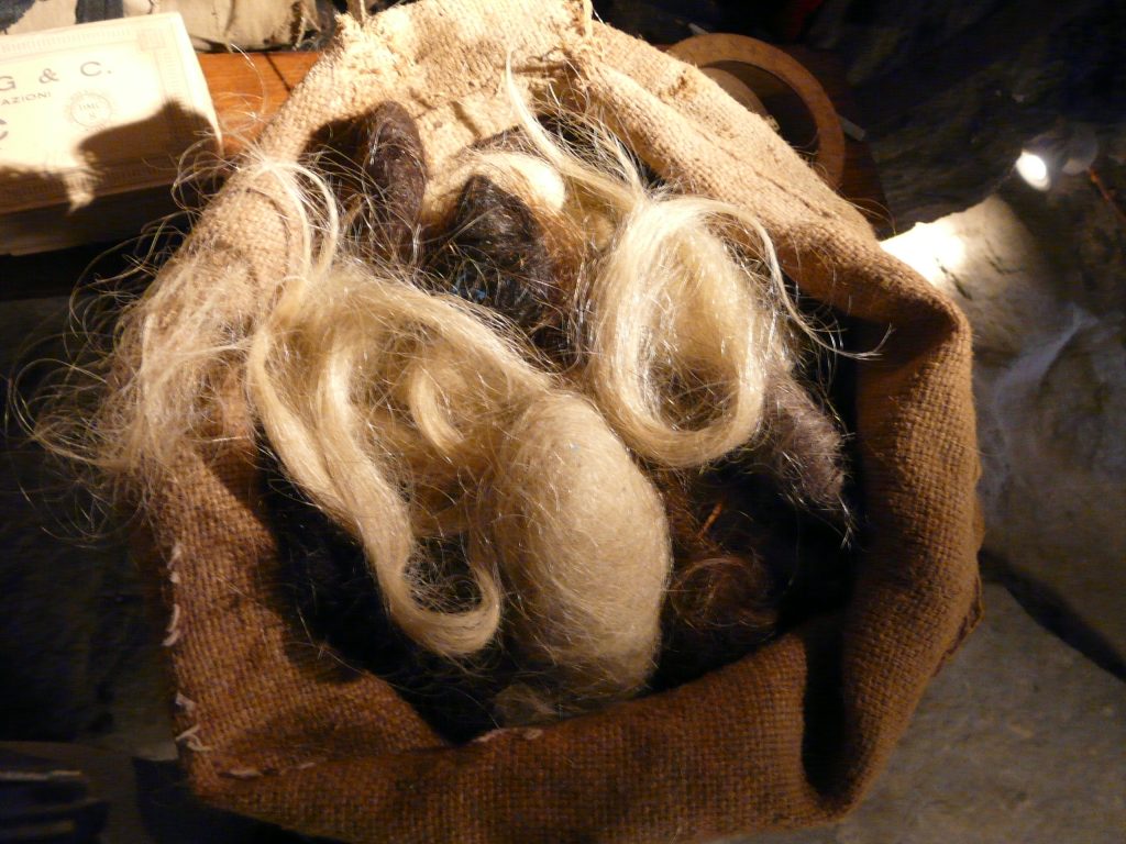 @ Museo di Pes Elvia