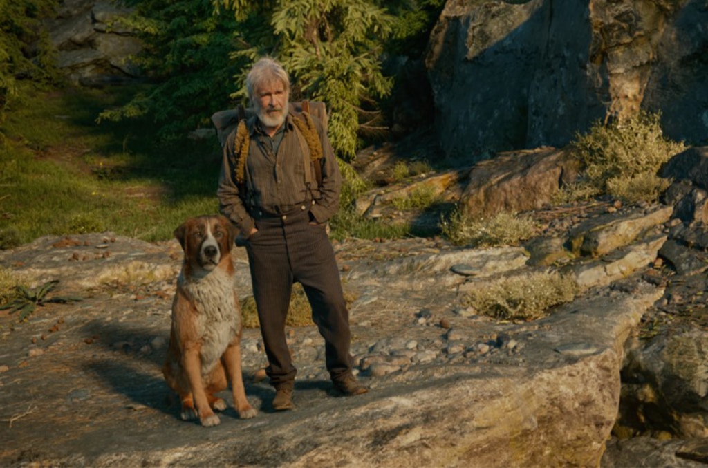Harrison Ford e Buck, il cane vero protagonista del film