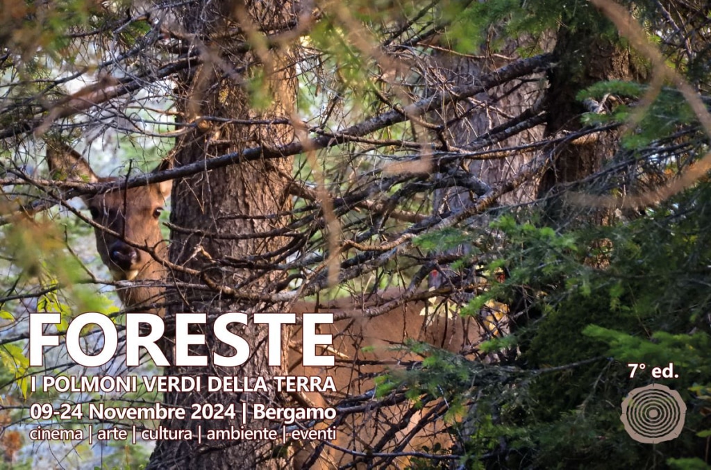 La locandina di Foreste 2024
