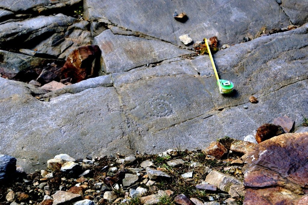 Le incisioni rupestri del Tresero, foto Soprintendenza Archeologica