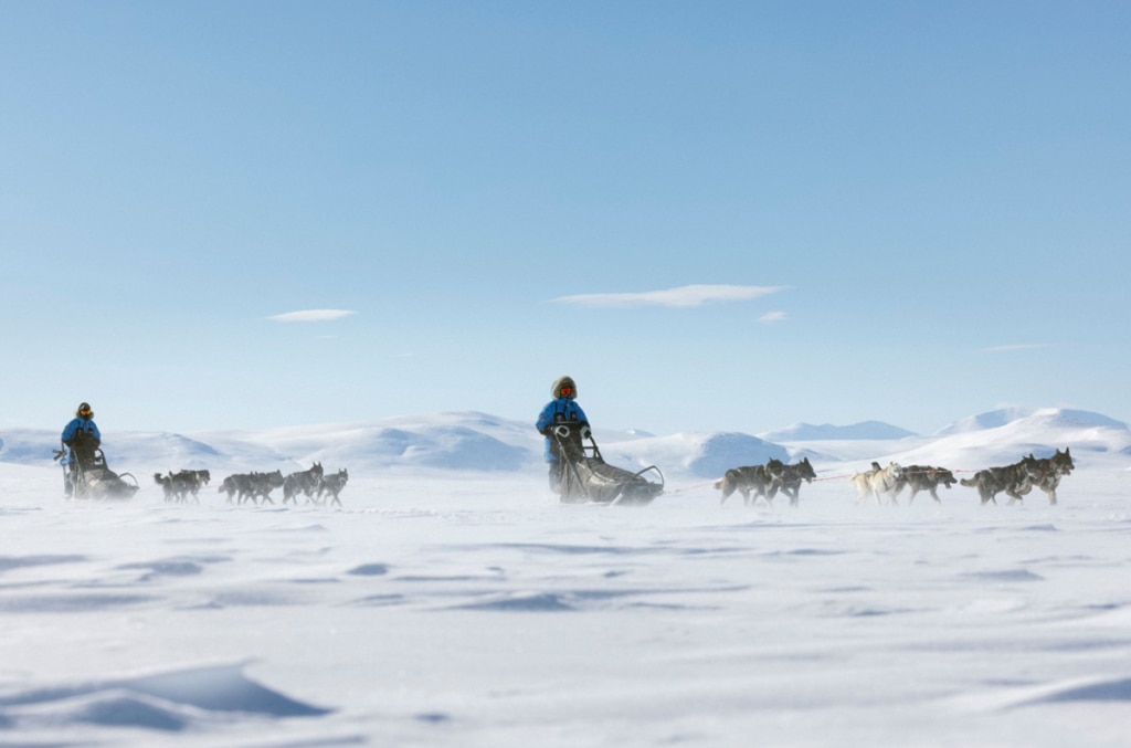 Ogni partecipante dovrà condurre personalmente la slitta trainata dai cani. @Fjällräven Polar