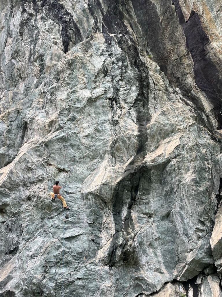 Al limite delle nostre competenze, fioriscono curiosità e creatività, foto M. Comi