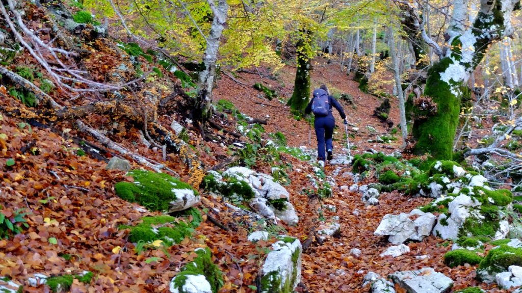Autunno tra Pian della Faggeta e il Monte Semprevisa, foto Stefano Ardito