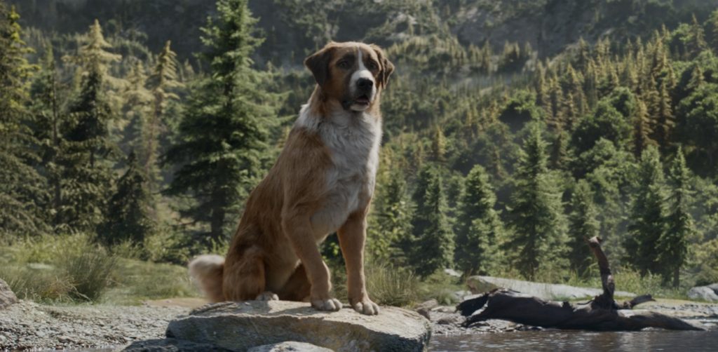 Buck, il protagonista della storia scritta da Jack Londonc