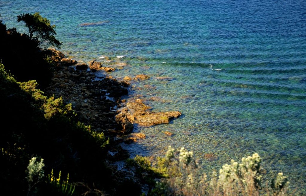 Costa di Scarlino, foto Stefano Ardito