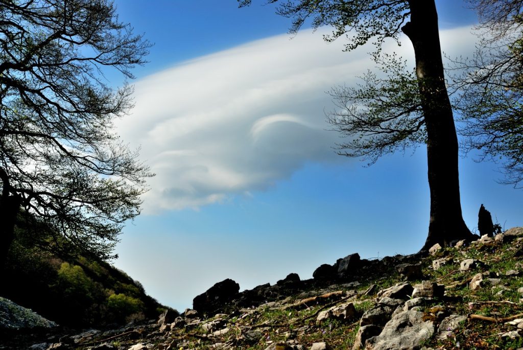 Faggi e nuvole sul Semprevisa, foto Stefano Ardito