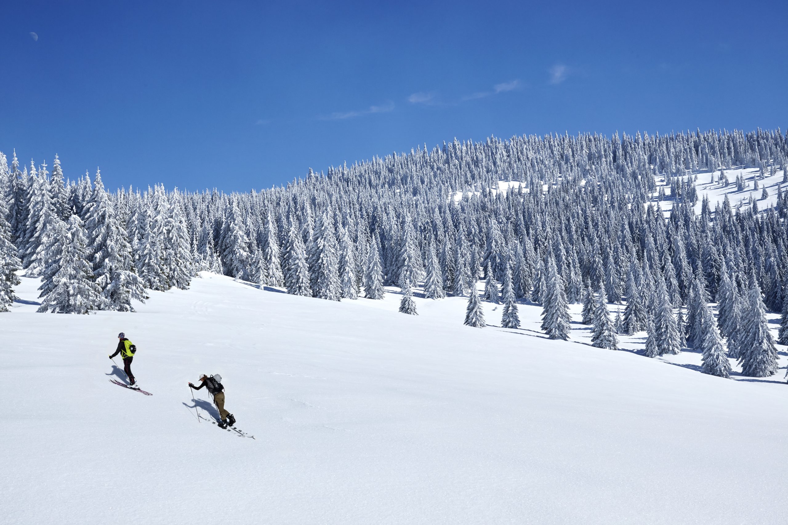 Lontano dalle piste: l’altro volto della montagna in veste invernale