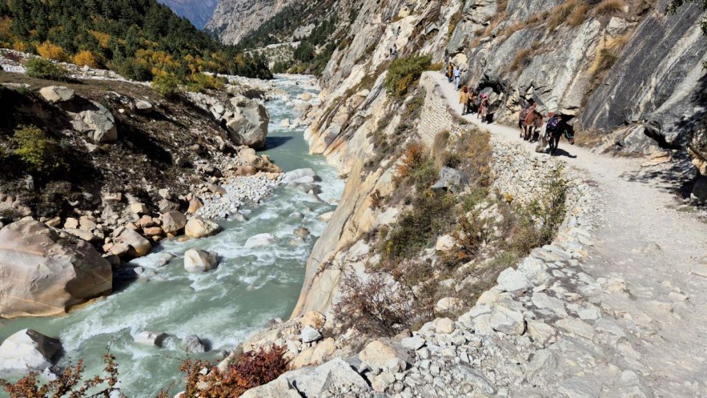 Il sentiero tra Gangotri e Bhojbasa, foto Stefano Ardito