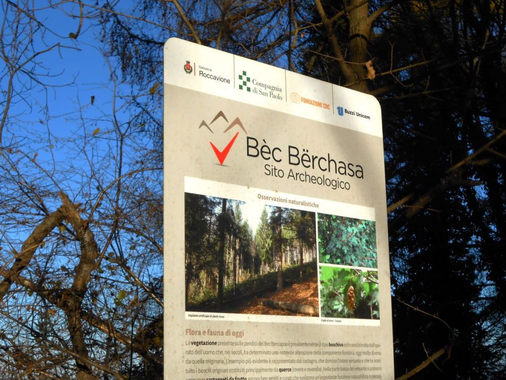 Il sito archeologico Bric Berciassa. Foto Lorenzo Volpe