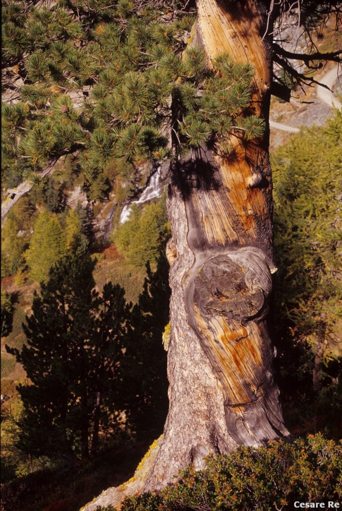 In discesa, verso il vallone dell