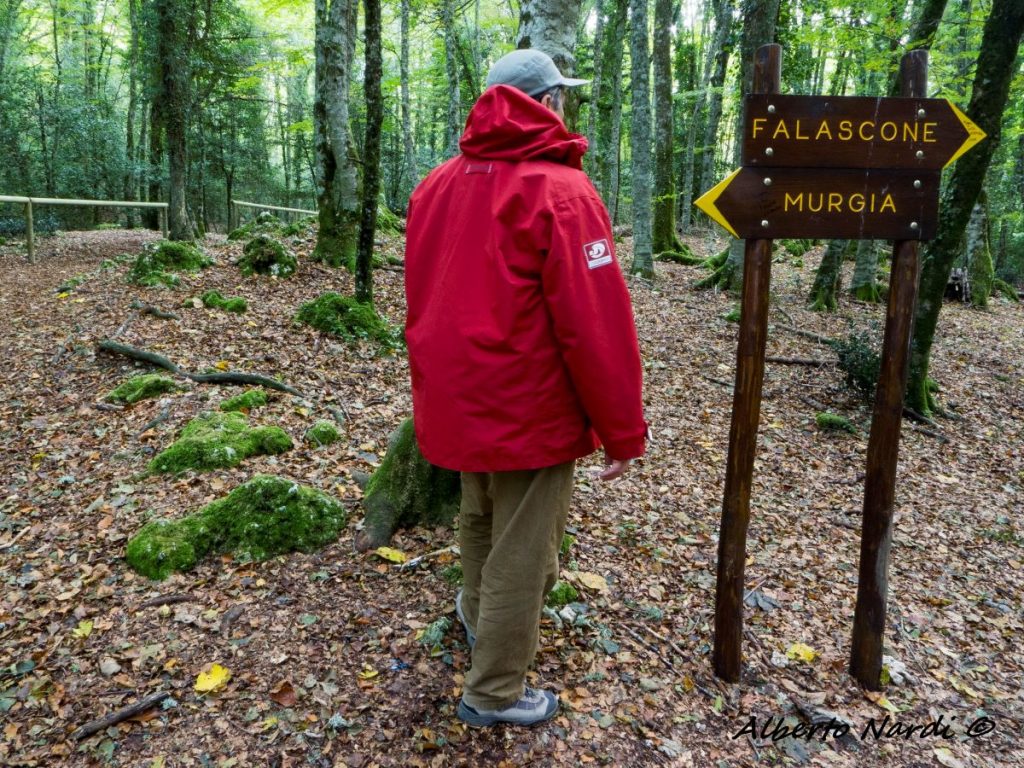 Indicazioni puntuali. Foto Alberto Nardi