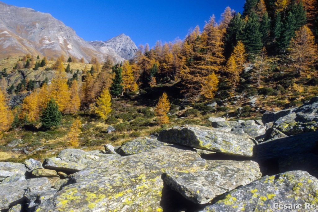 La Punta Tersiva. Foto Cesare Re