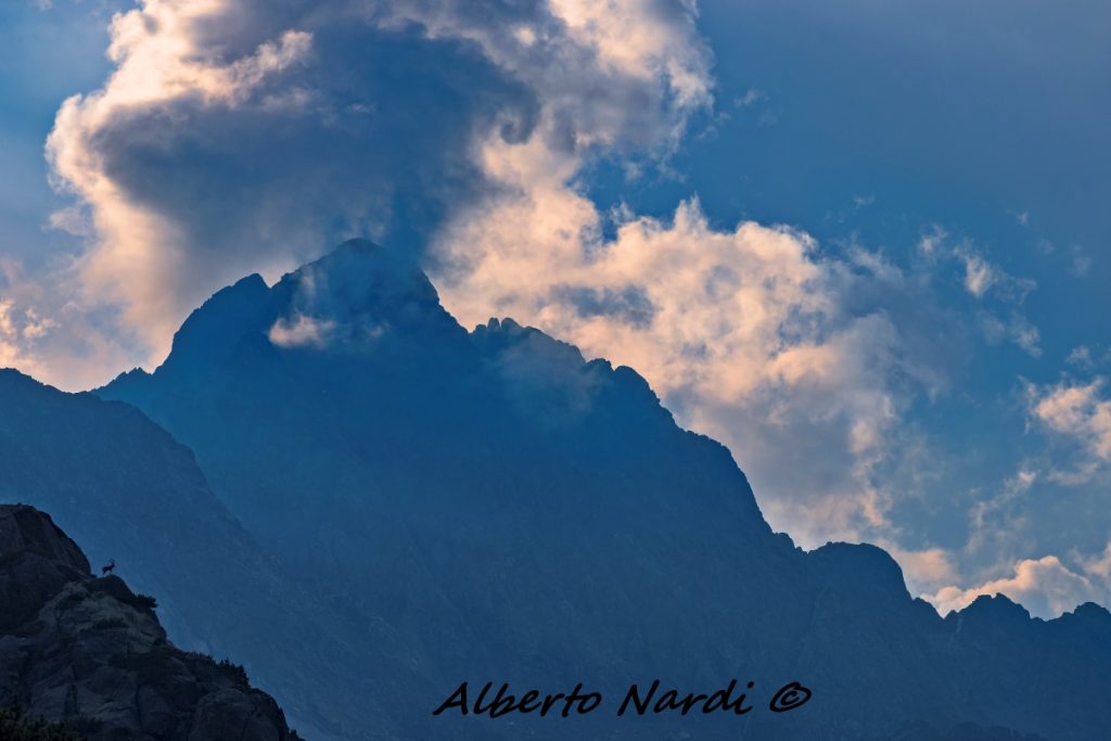 La cima del Pizzo Coca (3052 m). Foto Alberto Nardi