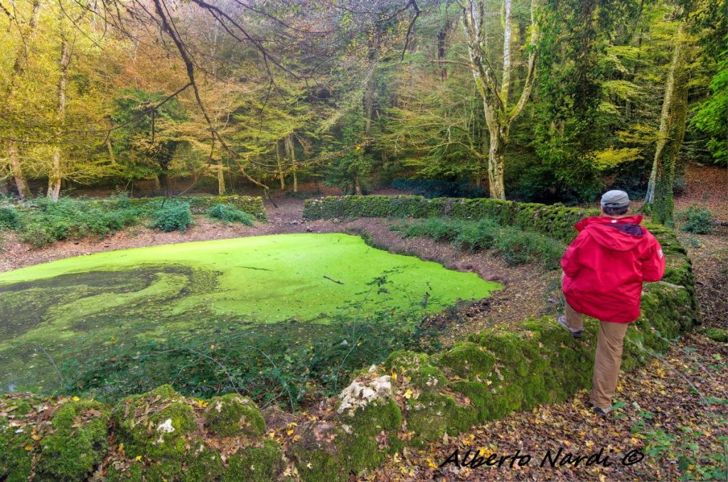 Lo stagno artificiale chiamato Lago d
