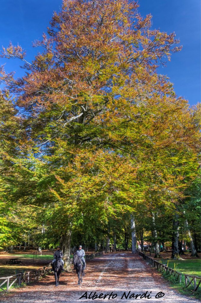 Perlustrazione delle guardie forestali. Foto Alberto Nardi