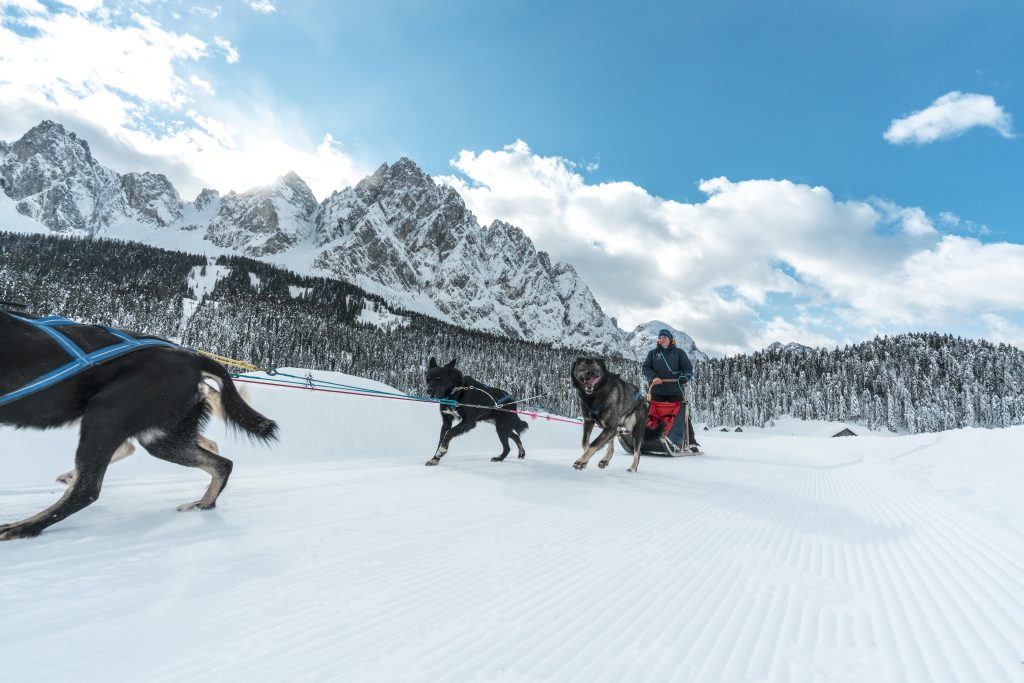 © Fabrice Gallina | Sleddog a Sappada