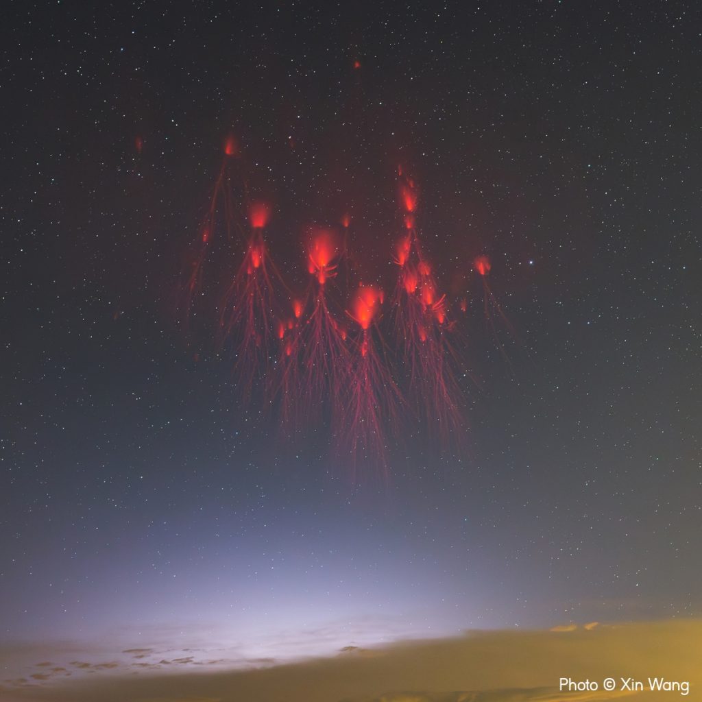 Sprites Dancing in the Dark Night di Xin Wang, la foto vincitrice del concorso. @ RMETS
