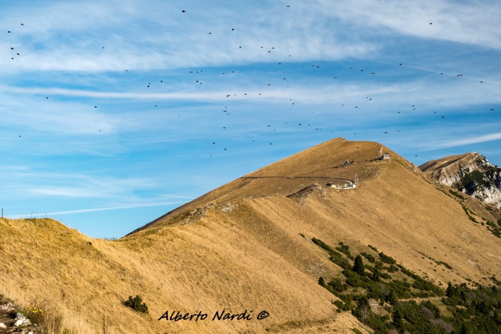Sulla cresta di Naole Costabella, con i rifugi Fiori del Baldo e Chierego. Foto Alberto Nardi