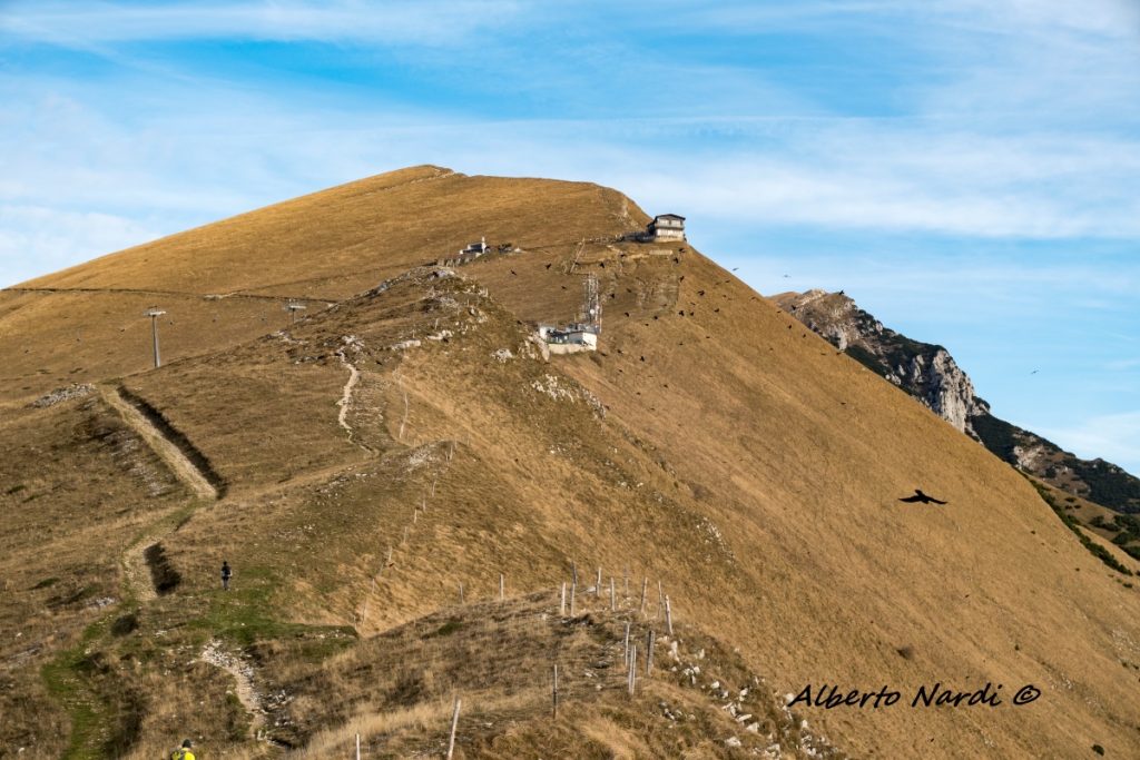 Sulla cresta di Naole-Costabella,da SX i Rifugi Fiori del Baldo (1850 m) e Chierego (1911 m). Sullo sfondo Cima Costabella (2053 m) e Vetta delle Buse (2154 m). Foto Alberto Nardi