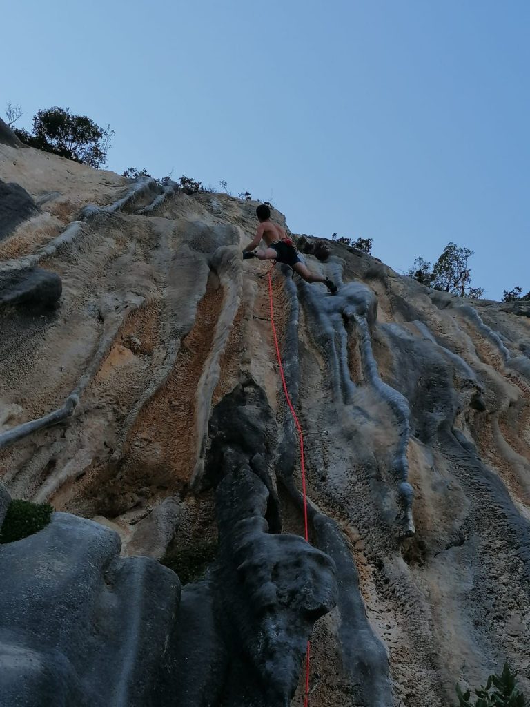 Sulle canne di Babala. Foto Marco Zanchetta
