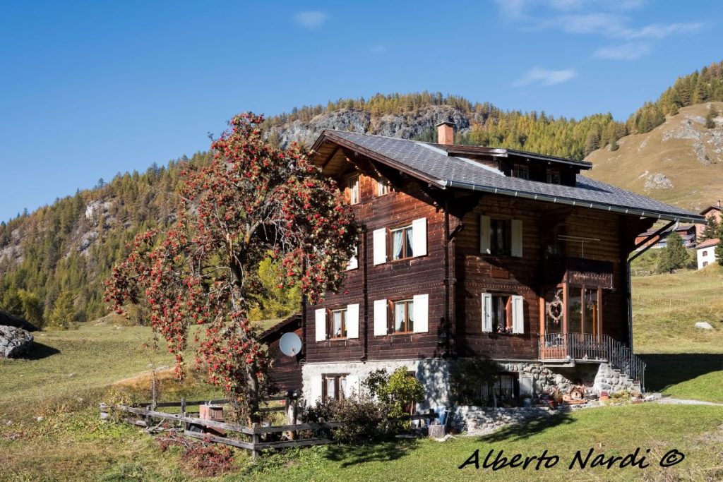 Surs, il luogo di partenza dell