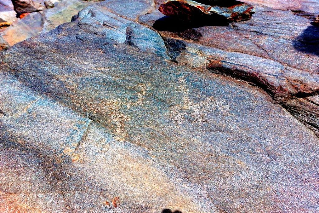 Un dettaglio delle incisioni rupestri del Tresero, foto Soprintendenza Archeologica