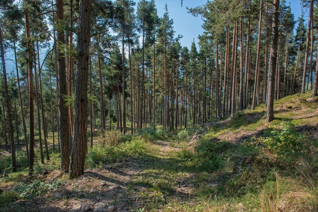 Un tratto del sentiero all