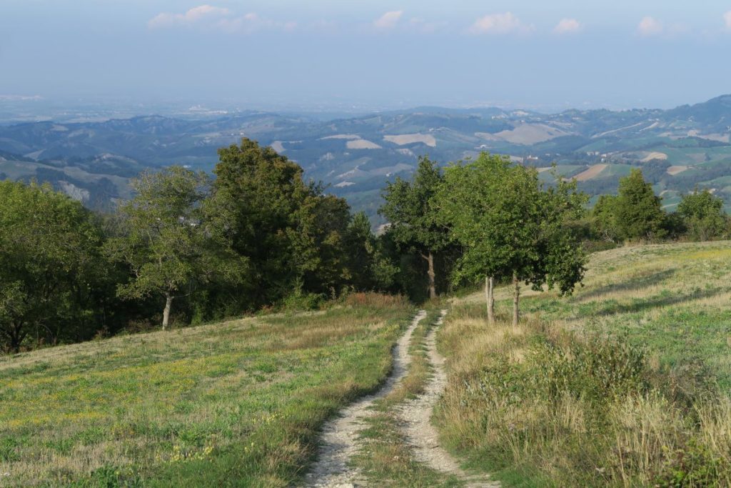 Un tratto della Via Francigena nei pressi di Fornovo. @ Visit Emilia - GAL del Ducato