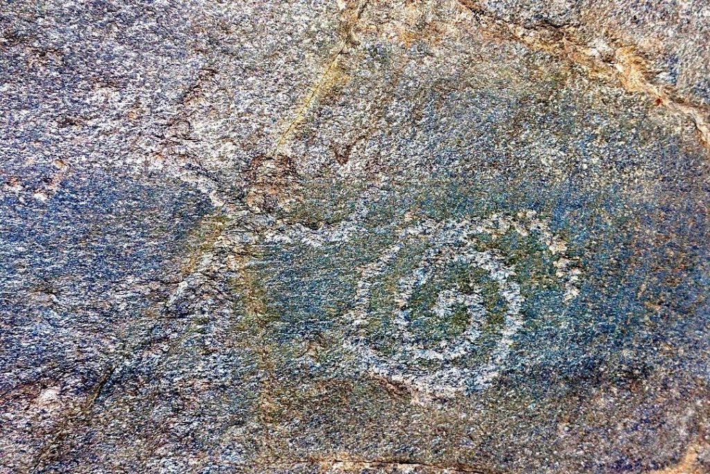 Una delle incisioni rupestri del Tresero risalenti alla Media Età del Bronzo, foto Soprintendenza Archeologica