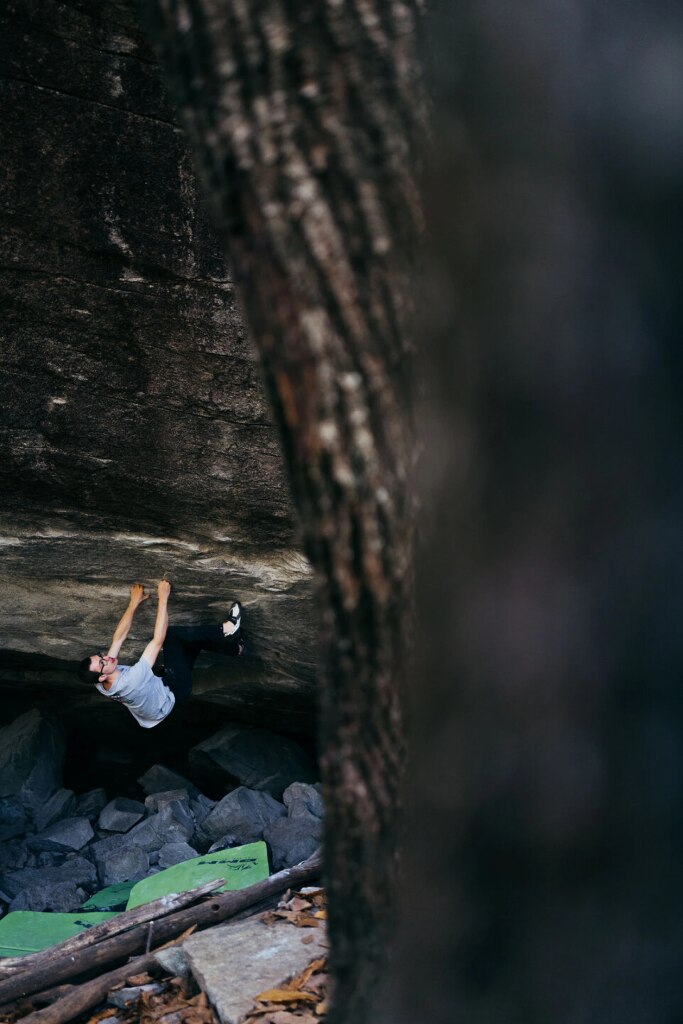 Bosi su Alphane. @Sam Pratt