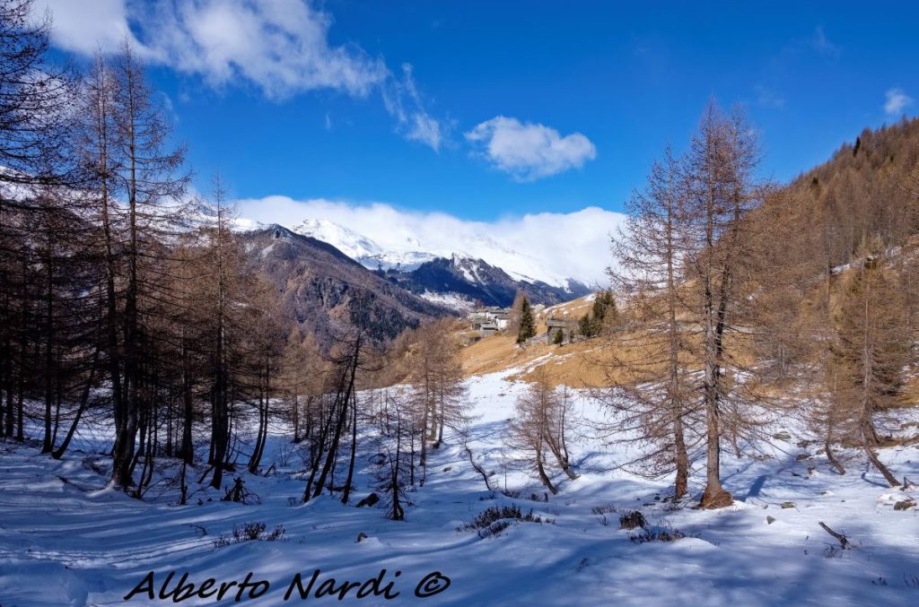 Vista su Bondeno di Mezzo. Foto Alberto Nardi