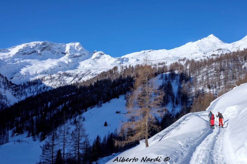 Lungo il tracciato che da Bosco Gurin sale alla Grossalp. Foto Alberto Nardi