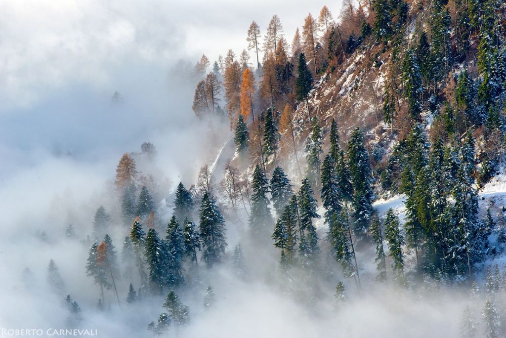 Foto Roberto Carnevali