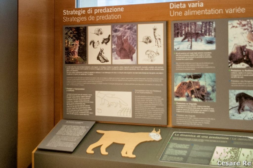 Il Centro visitatori del PNGP a Degioz. Foto Cesare Re