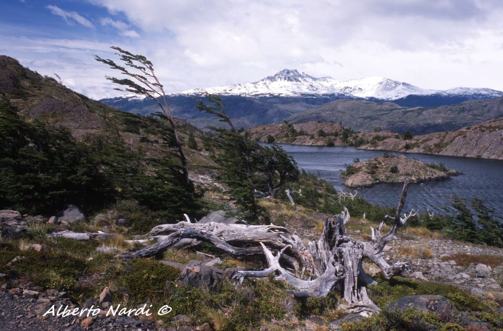 Il Lago Grey. Foto Alberto Nardi