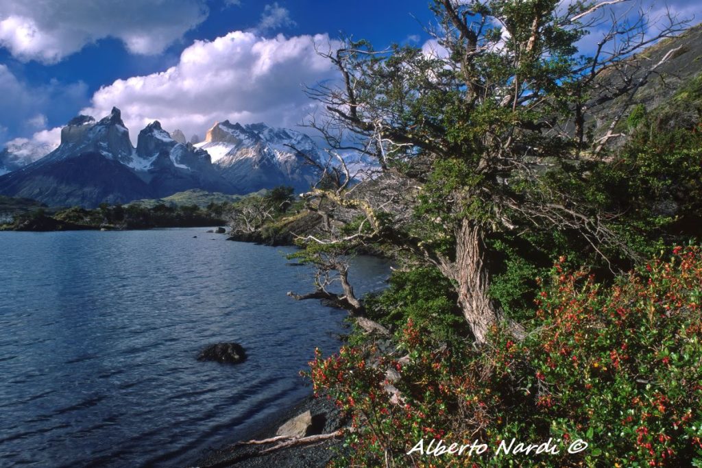 Il Lago Pehoé e la Catena Cuernos del Paine. Foto Alberto Nardi