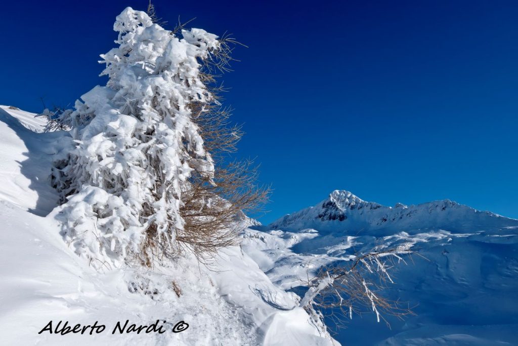 Il Monte Cadino (2418 m) e il Passo di Val Fredda. Foto Alberto Nardi