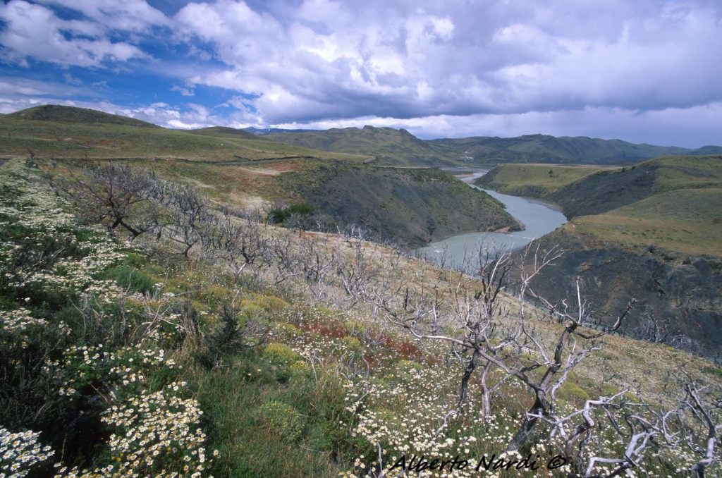 Il fiume Paine. Foto Alberto Nardi