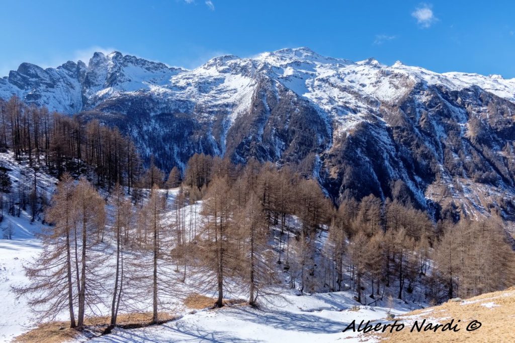 Il panoranma sulle Alpi Lepontine da Bondeno di Mezzo. Foto Alberto Nardi