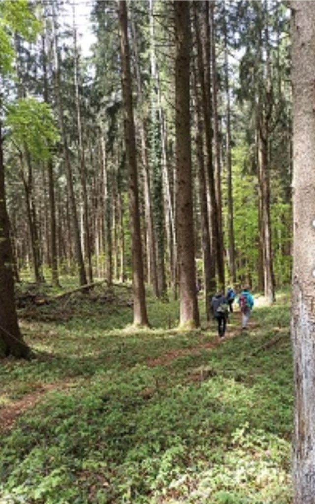 In cammino tra i boschi @ UNPLI