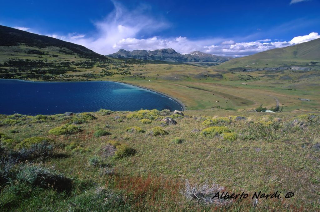 La Laguna Azul, nel Parco Nazionale Torres del Paine. Foto Alberto Nardi