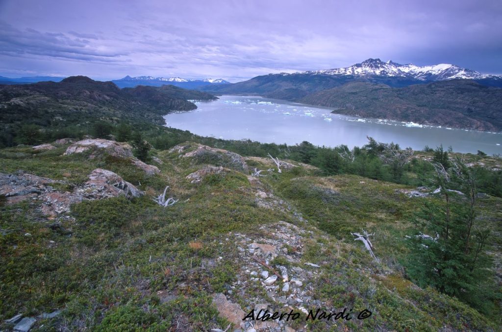 Lago Grey. Foto Alberto Nardi
